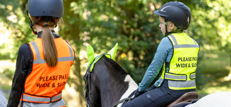 The Reflective Rider