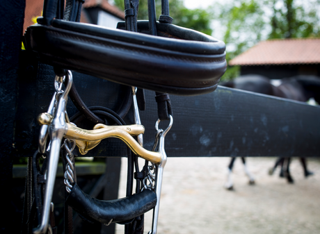 Fat vs Thin, Metal vs Plastic