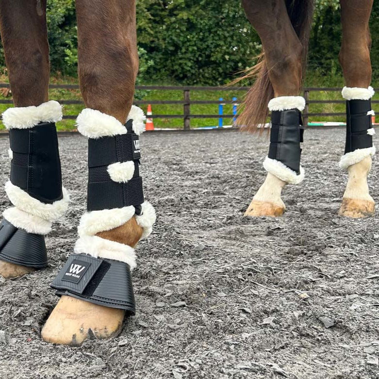 Woof Wear Vision Elegance Brushing Boot #colour_black