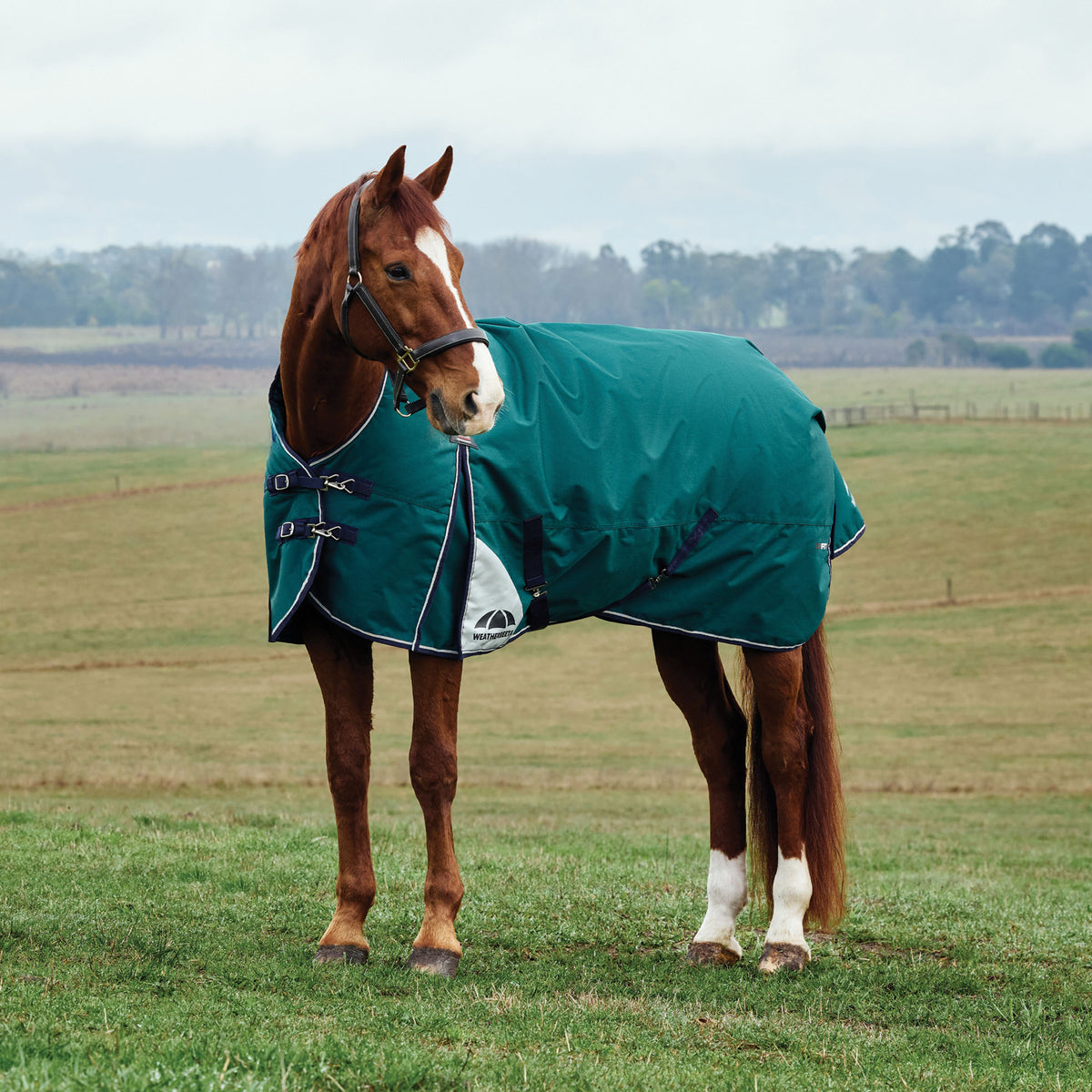 Weatherbeeta Comfitec Plus Dynamic Turnout High Neck 0g