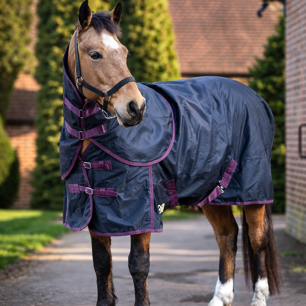 GS Equestrian 100g Detachable Neck Turnout Rug #colour_black-plum