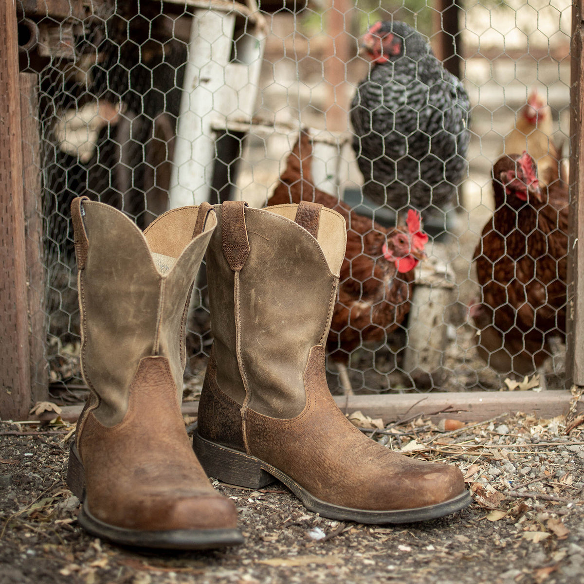 Ariat Men's Rambler Western Boot