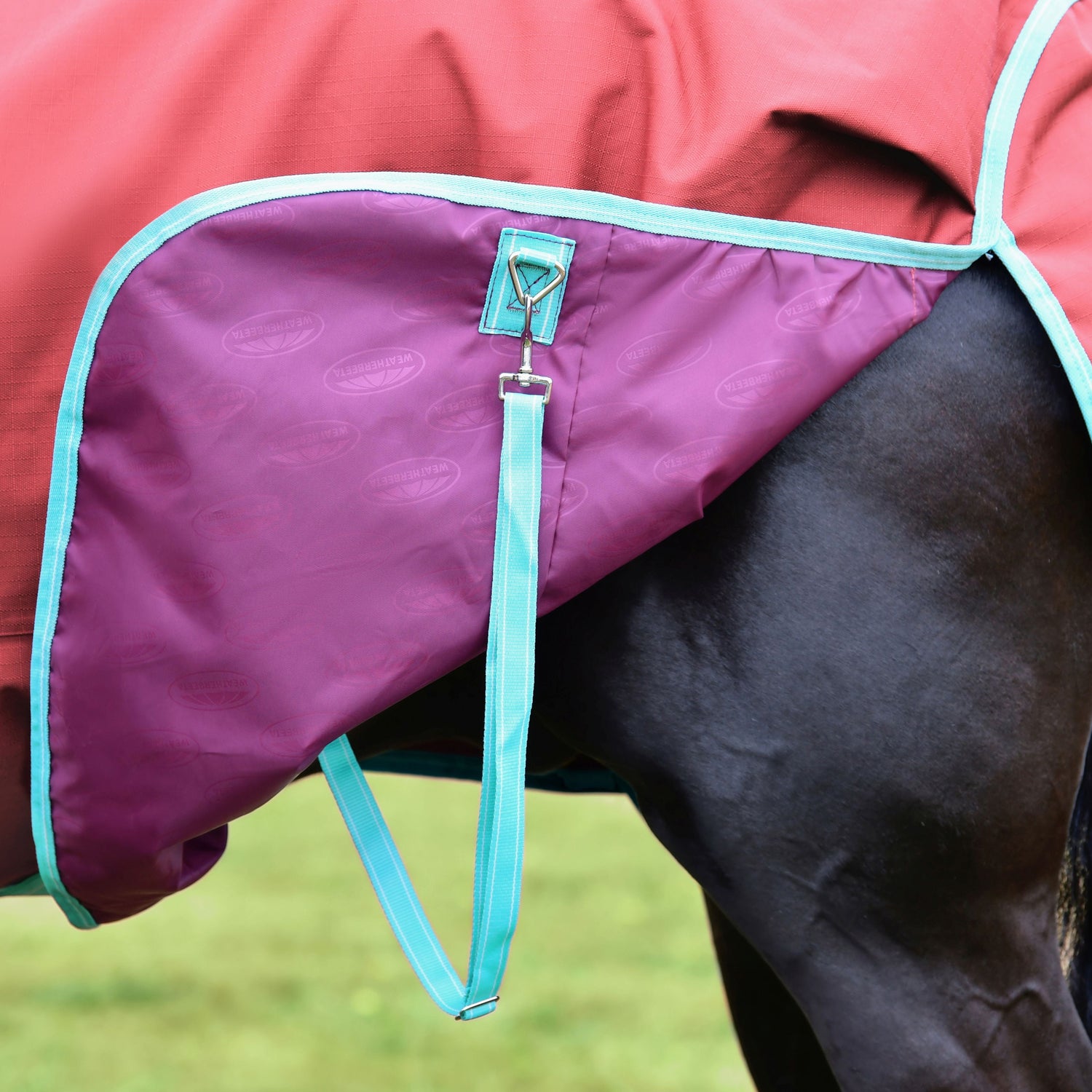 Weatherbeeta Comfitec Essential Standard Neck Lite Plus #colour_red-blue-beige