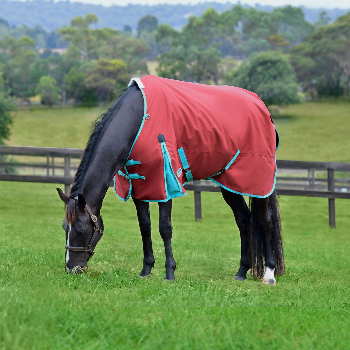 Weatherbeeta Comfitec Essential Standard Neck Lite Plus #colour_red-blue-beige