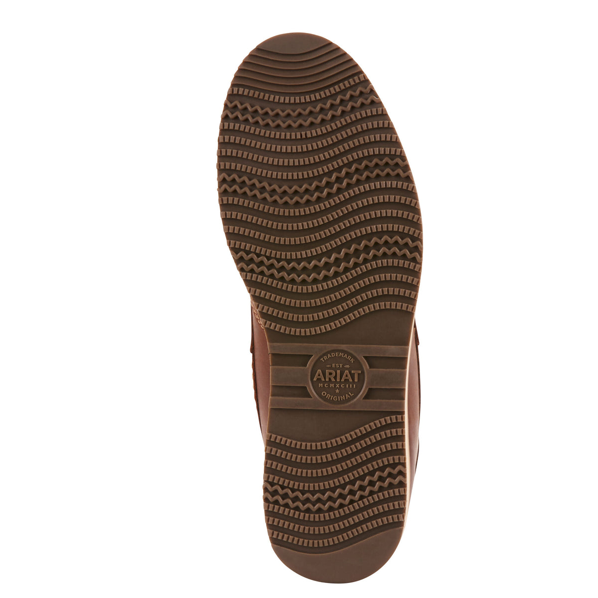 Ariat Men's Lookout Boot