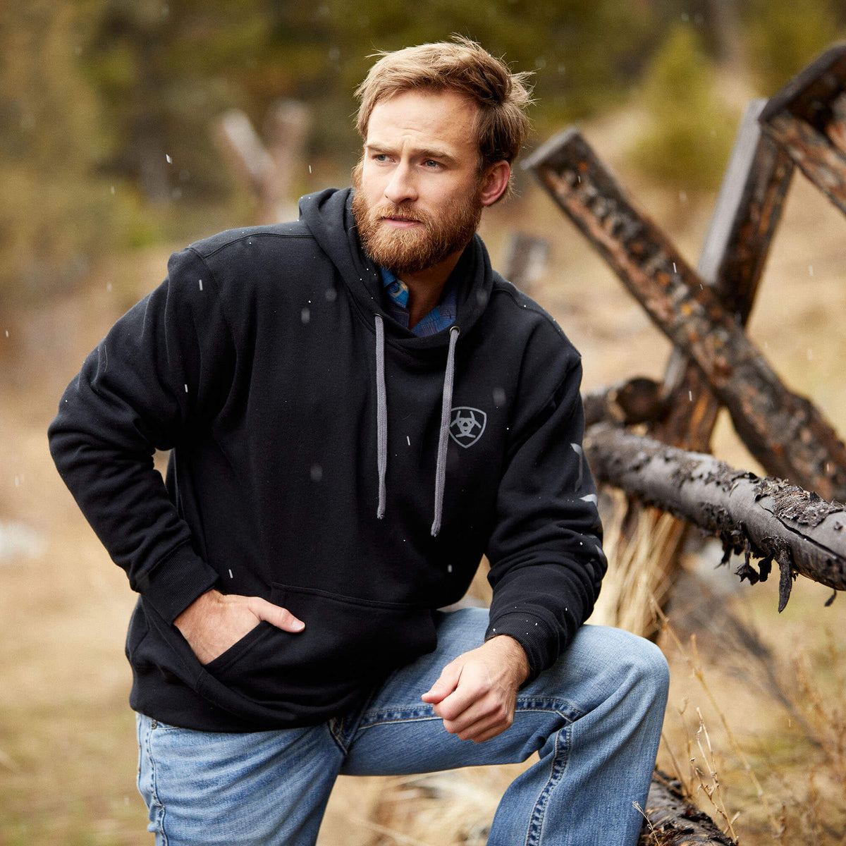 Ariat Men's Ariat Logo Hoodie