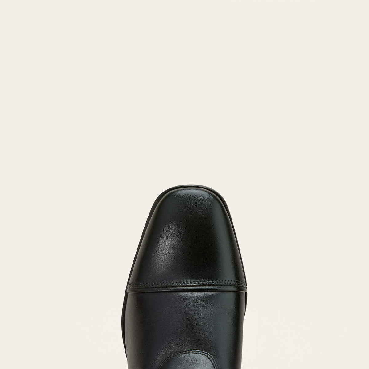Ariat Women's Palisade Dress Tall Riding Boot - Black