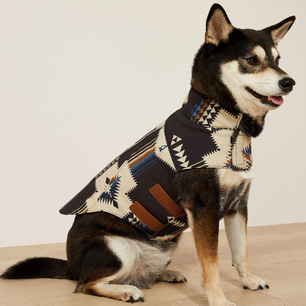 Ariat Team Softshell Dog Jacket