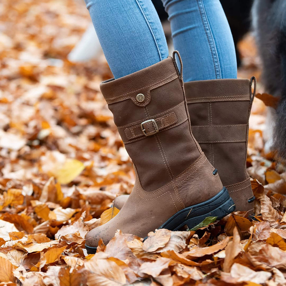 Ariat Women's Bampton Waterproof Boot