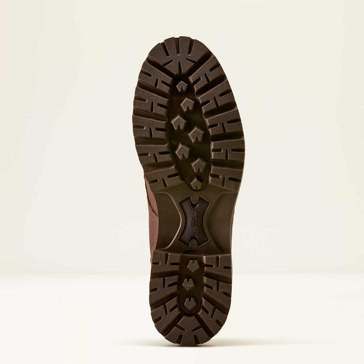 Ariat Men's Moorland Bison Boot