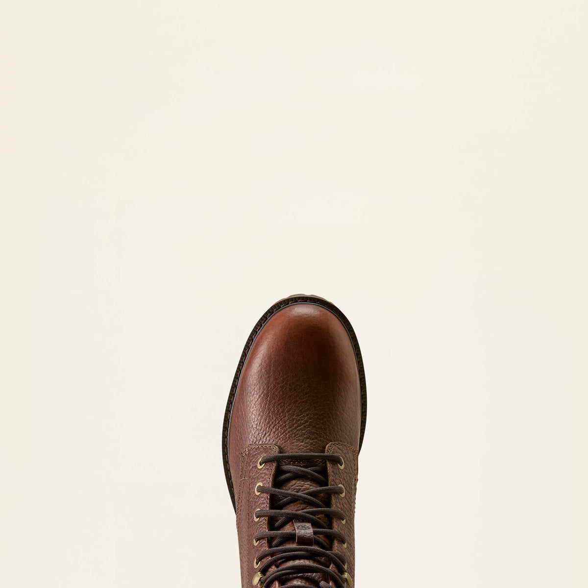 Ariat Men's Moorland Bison Boot
