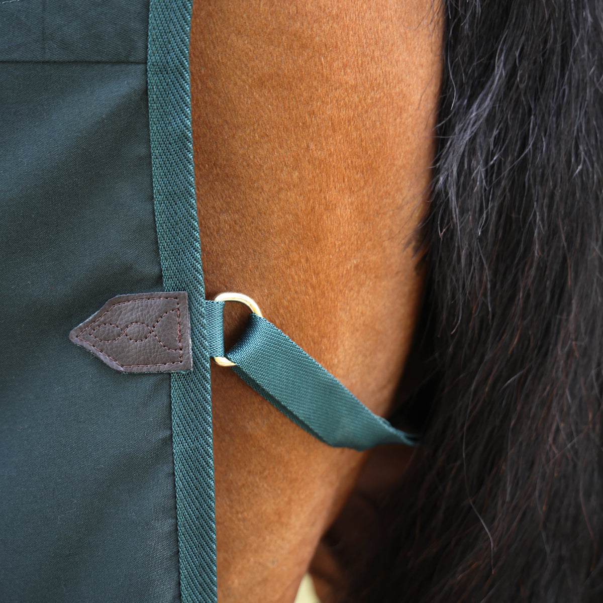 Shires Deluxe Stable Sheet