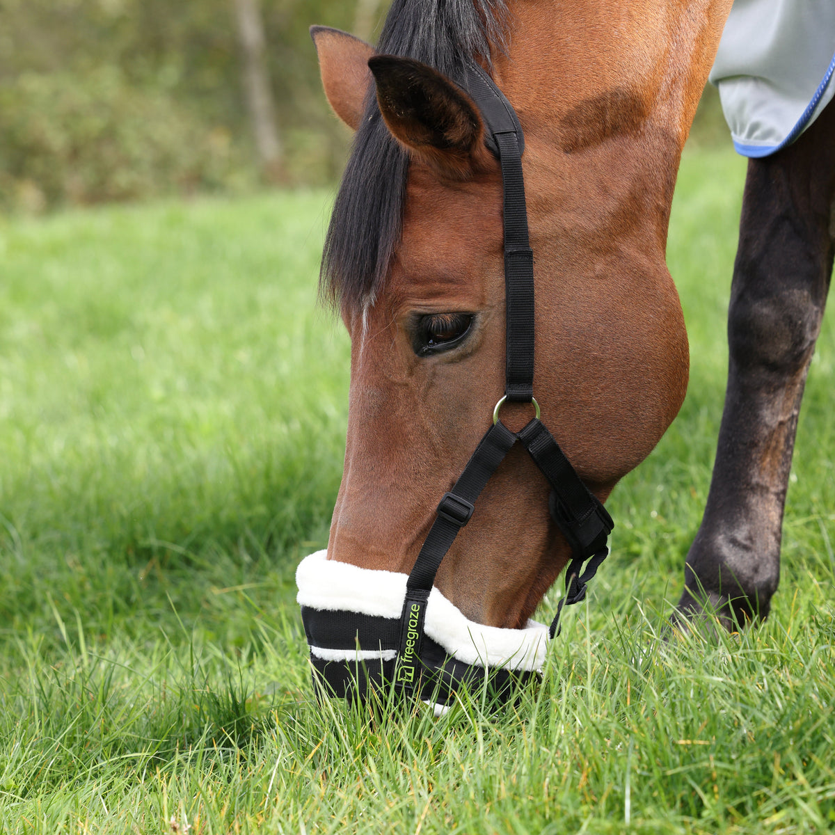 Shires FreeGraze Deluxe AirFlow Grazing Muzzle