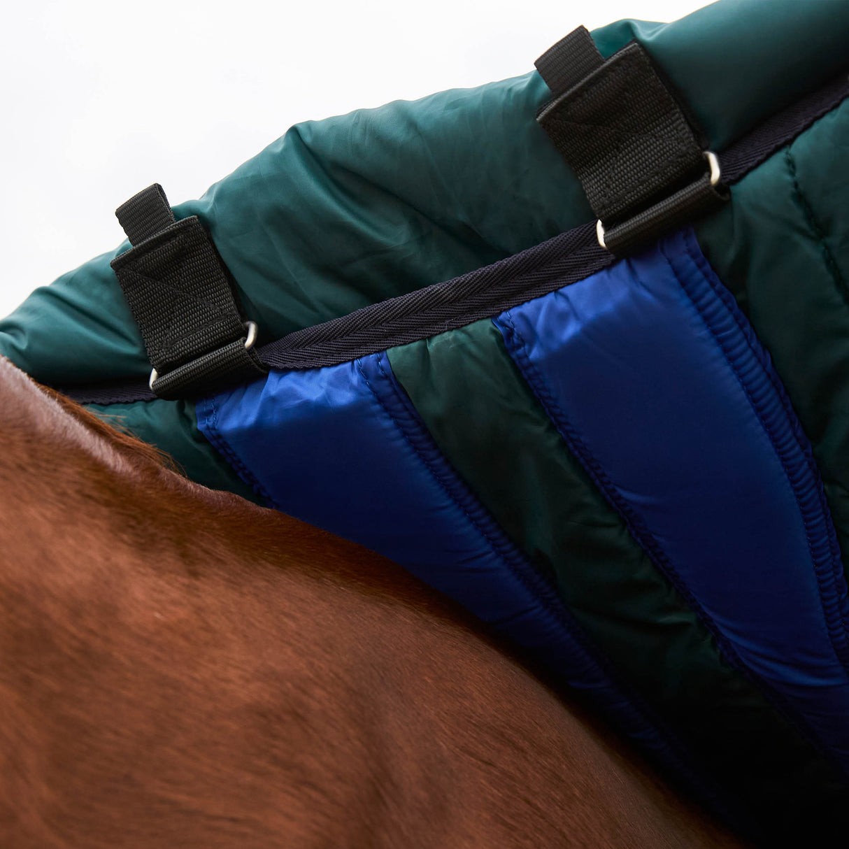 Weatherbeeta Comfitec Plus Dynamic Turnout Detach-A-Neck 360g