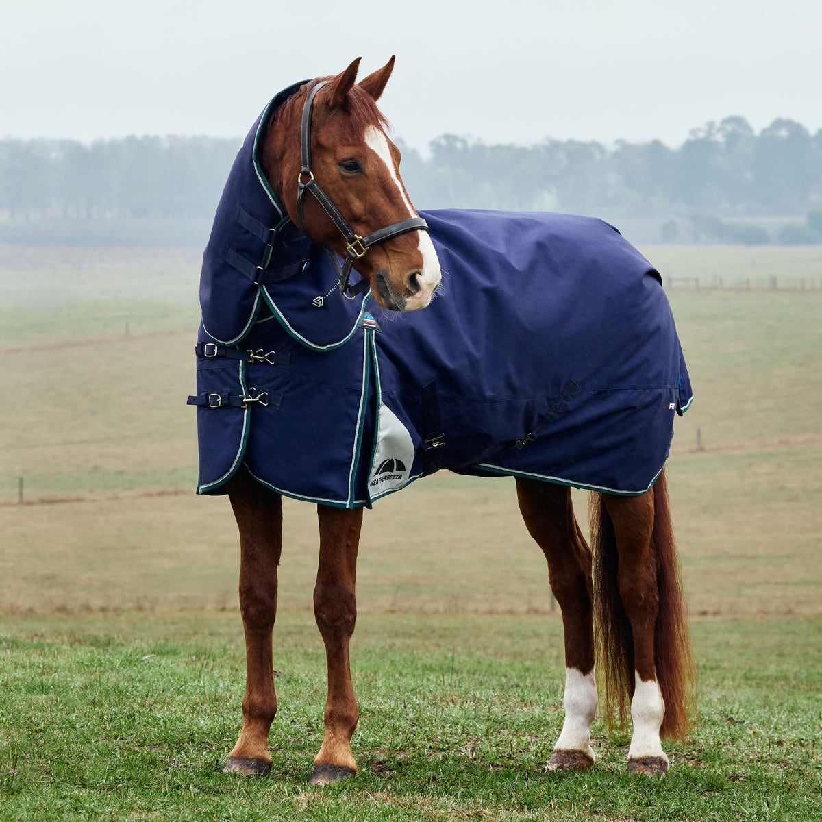 Weatherbeeta Comfitec Plus Dynamic Turnout Detach-A-Neck 360g