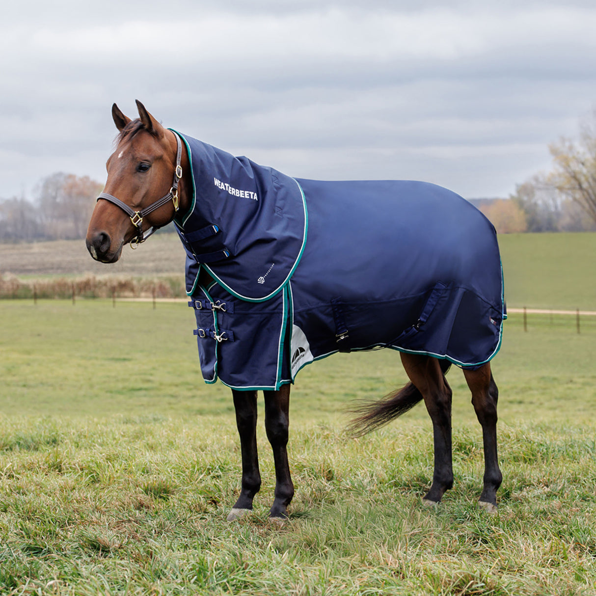 Weatherbeeta Comfitec Plus Dynamic Turnout Detach-A-Neck 360g
