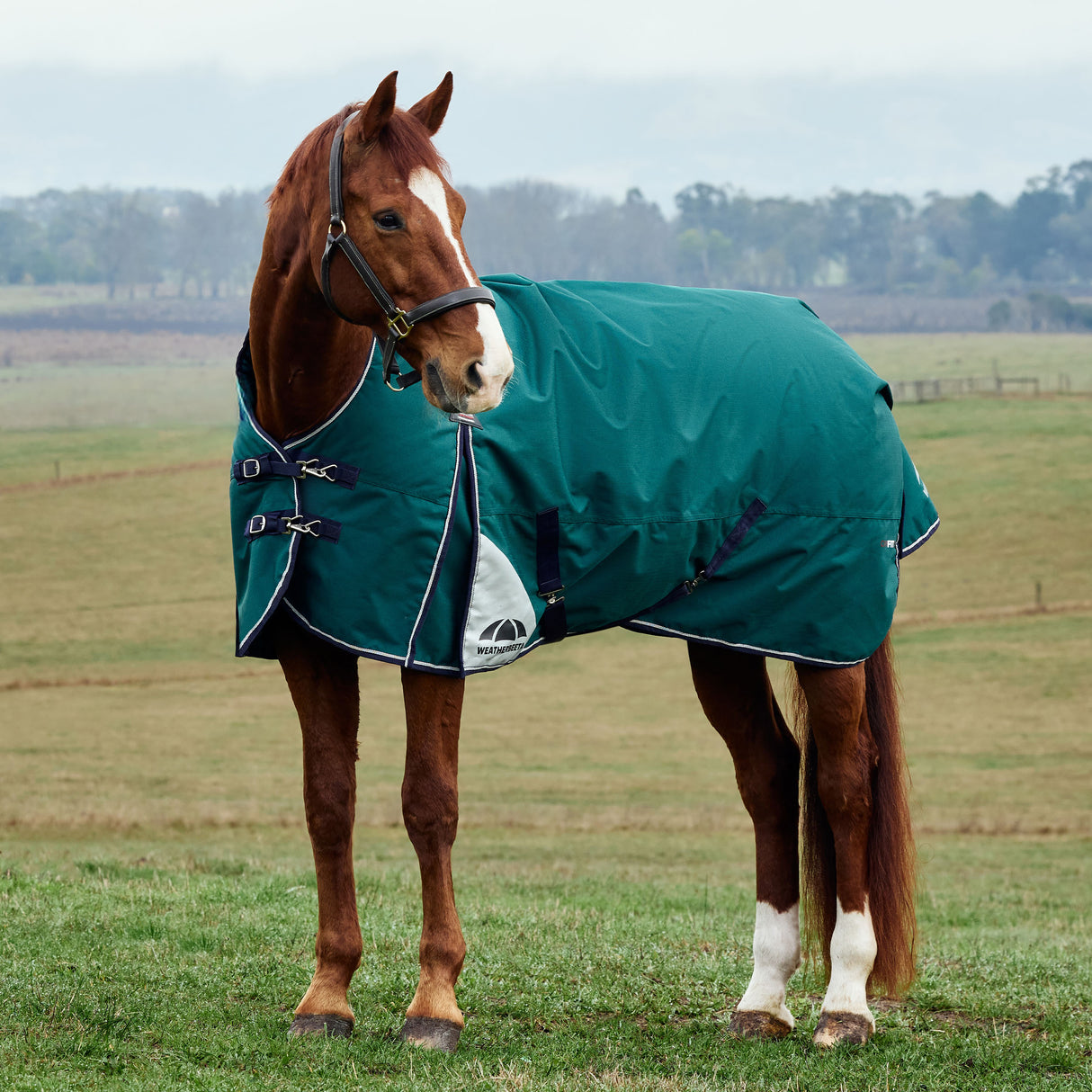 Weatherbeeta Comfitec Plus Dynamic Turnout High Neck 0g