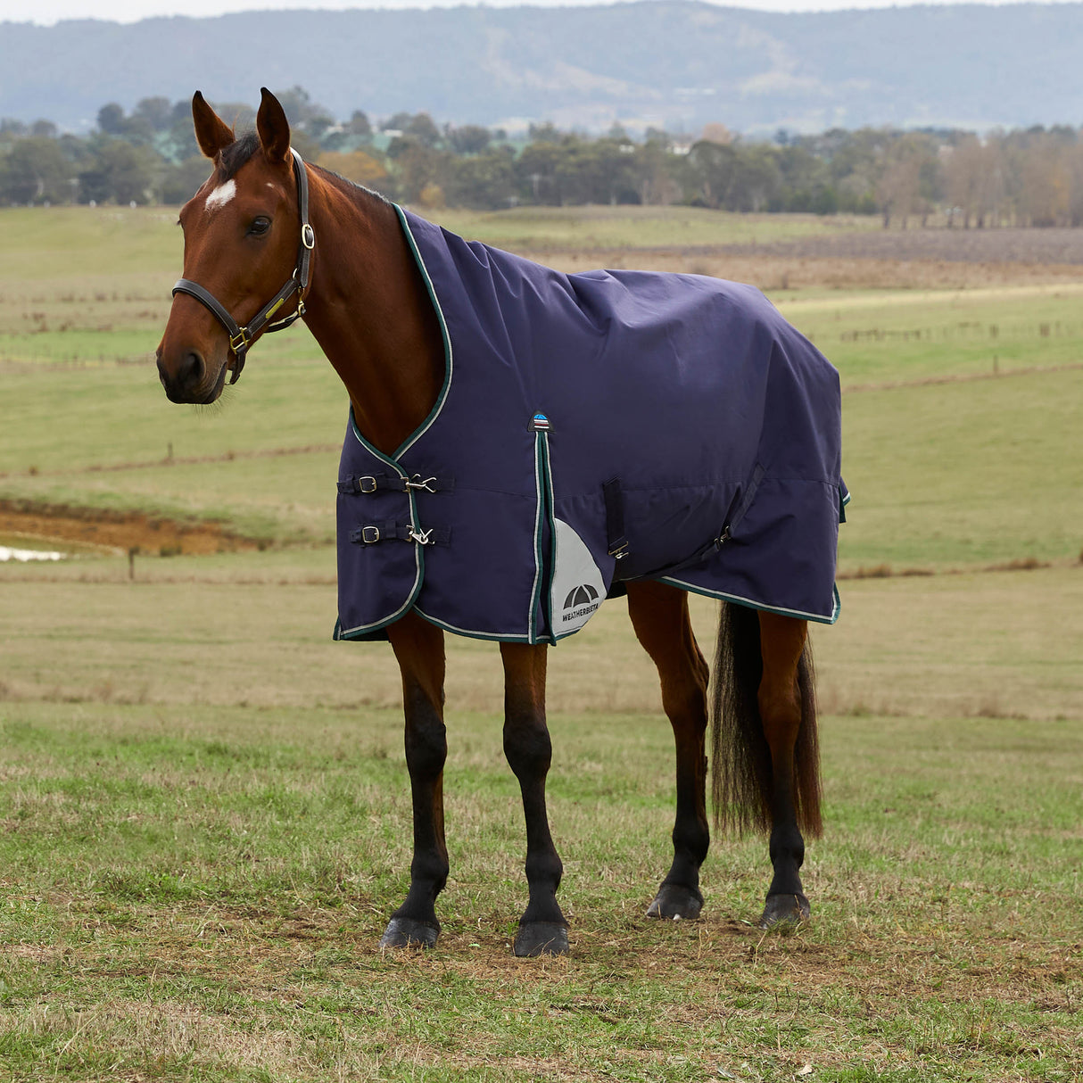 Weatherbeeta Comfitec Plus Dynamic Turnout High Neck 0g