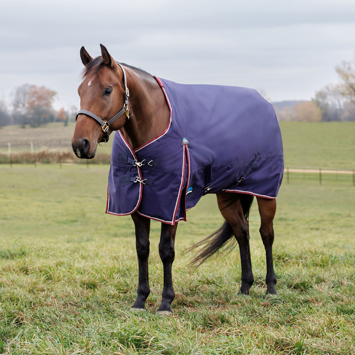 Weatherbeeta Comfitec Essential Standard Turnout 360g