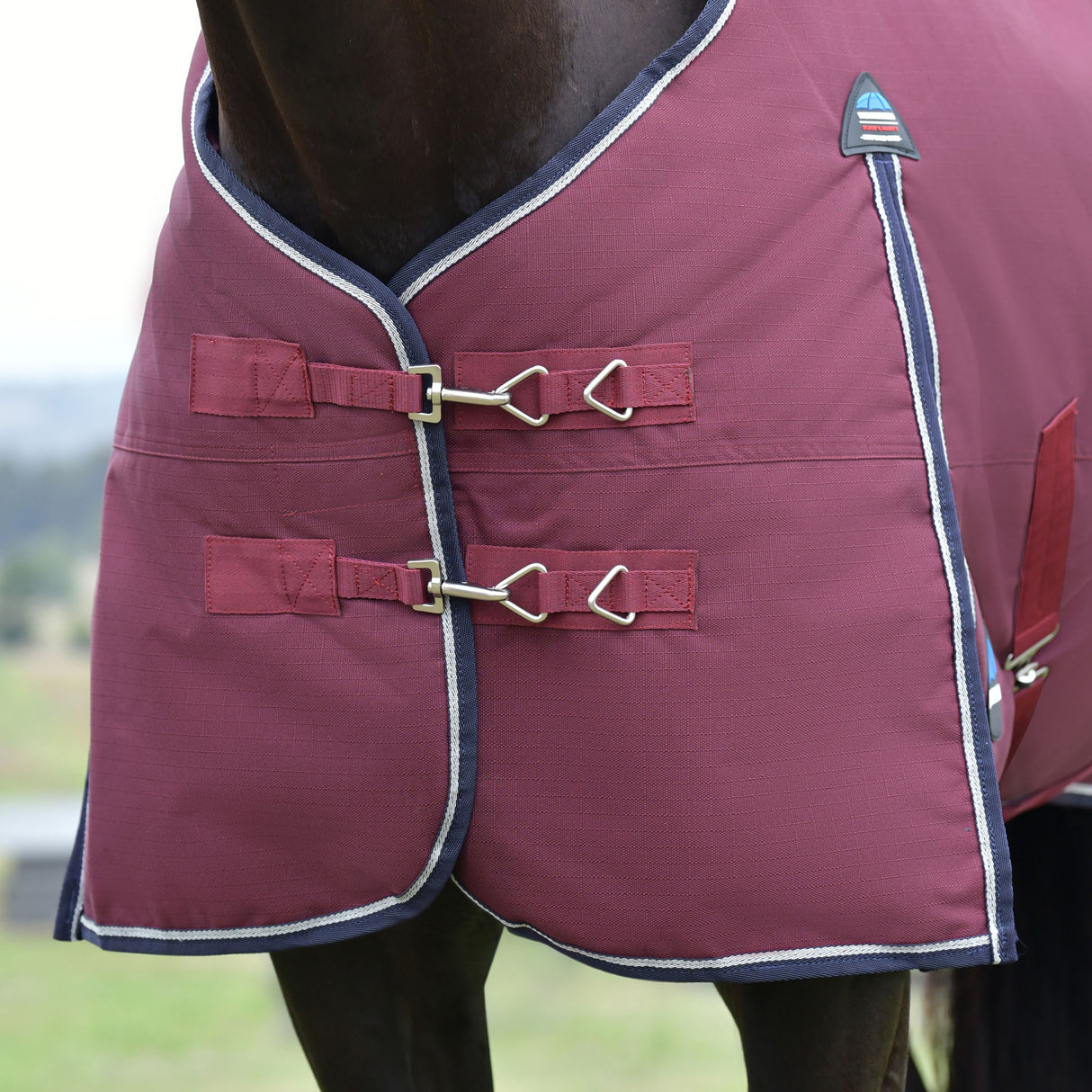 Weatherbeeta Comfitec Essential Standard Turnout 100g