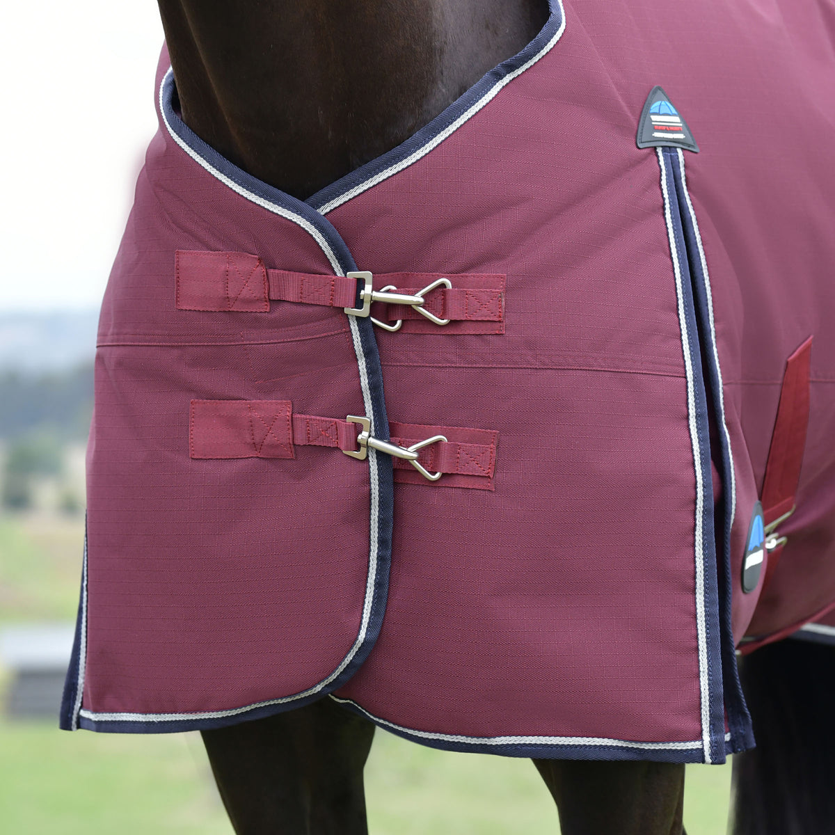 Weatherbeeta Comfitec Essential Standard Turnout 100g