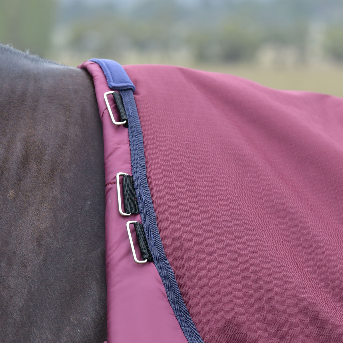 Weatherbeeta Comfitec Essential Standard Turnout 100g