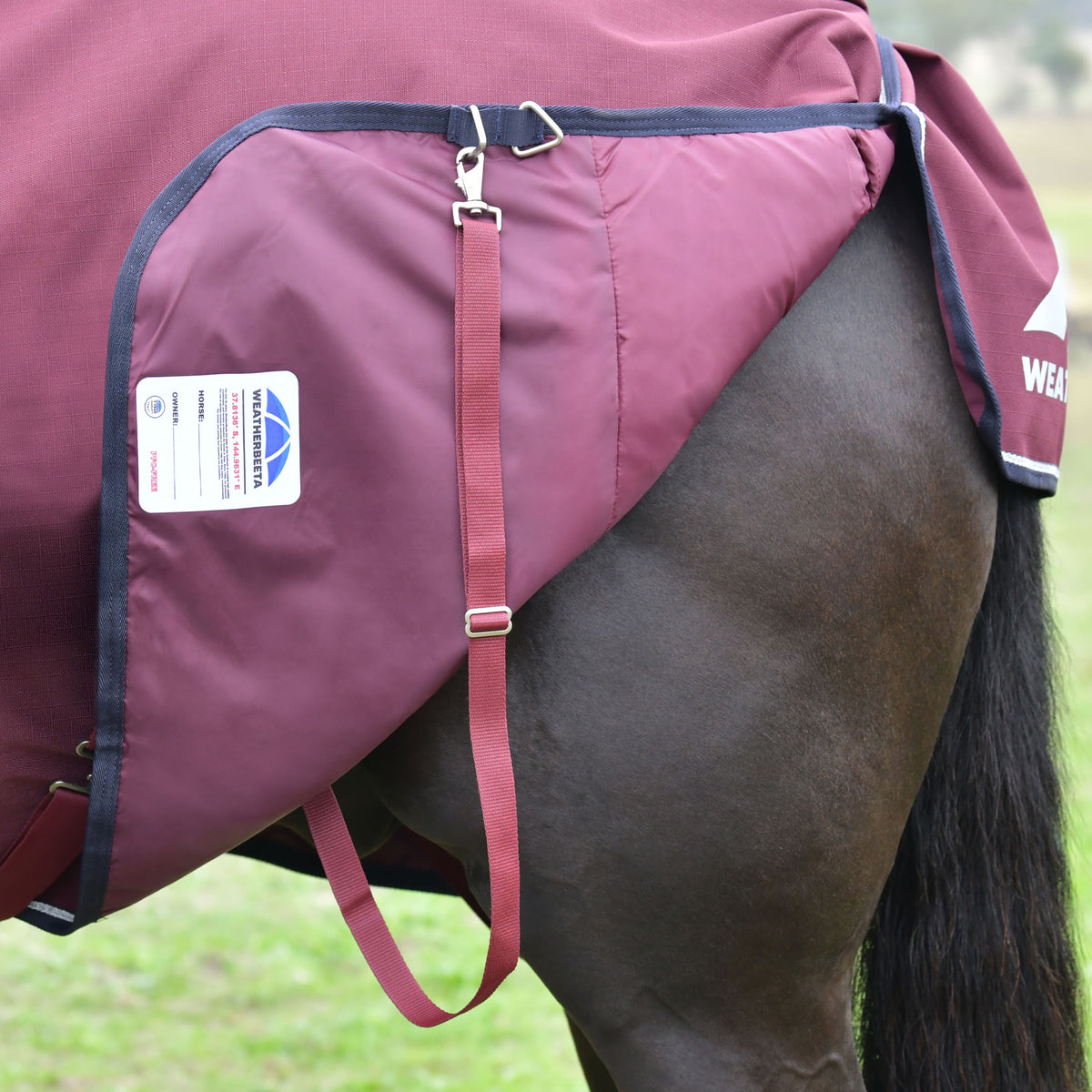 Weatherbeeta Comfitec Essential Standard Turnout 100g
