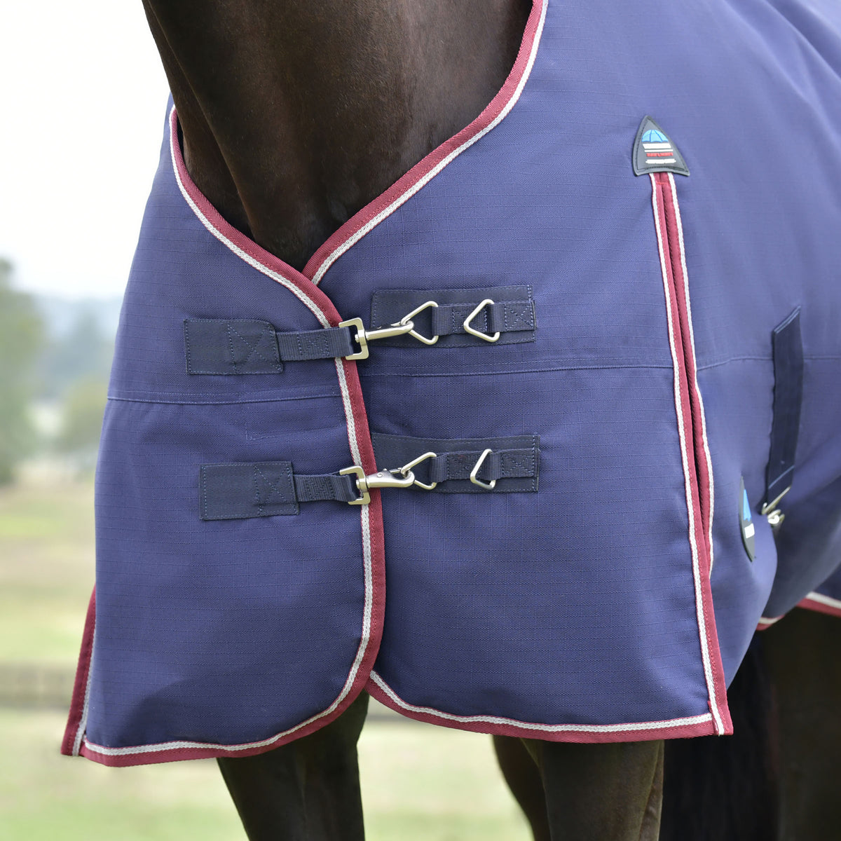 Weatherbeeta Comfitec Essential Standard Turnout 100g