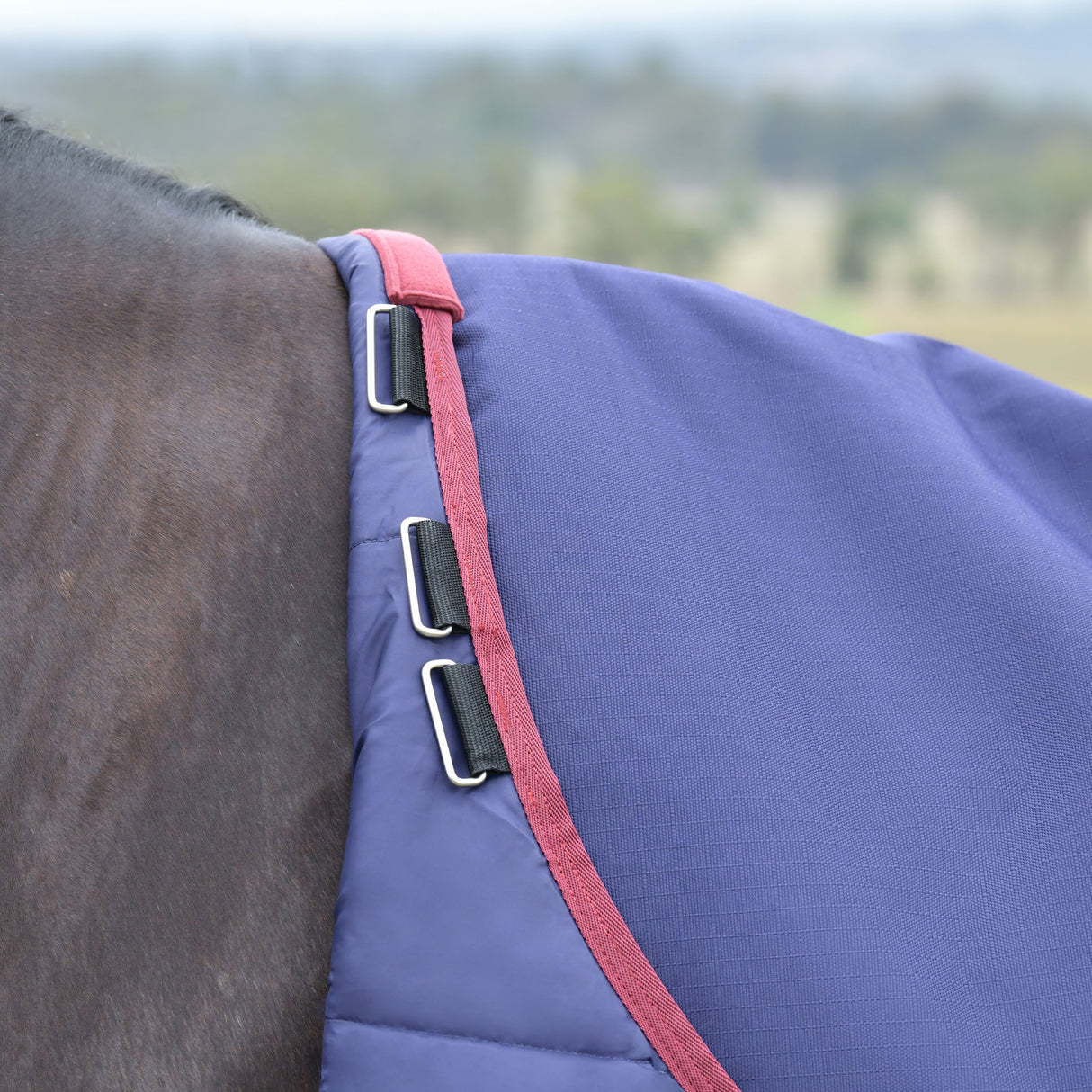 Weatherbeeta Comfitec Essential Standard Turnout 100g