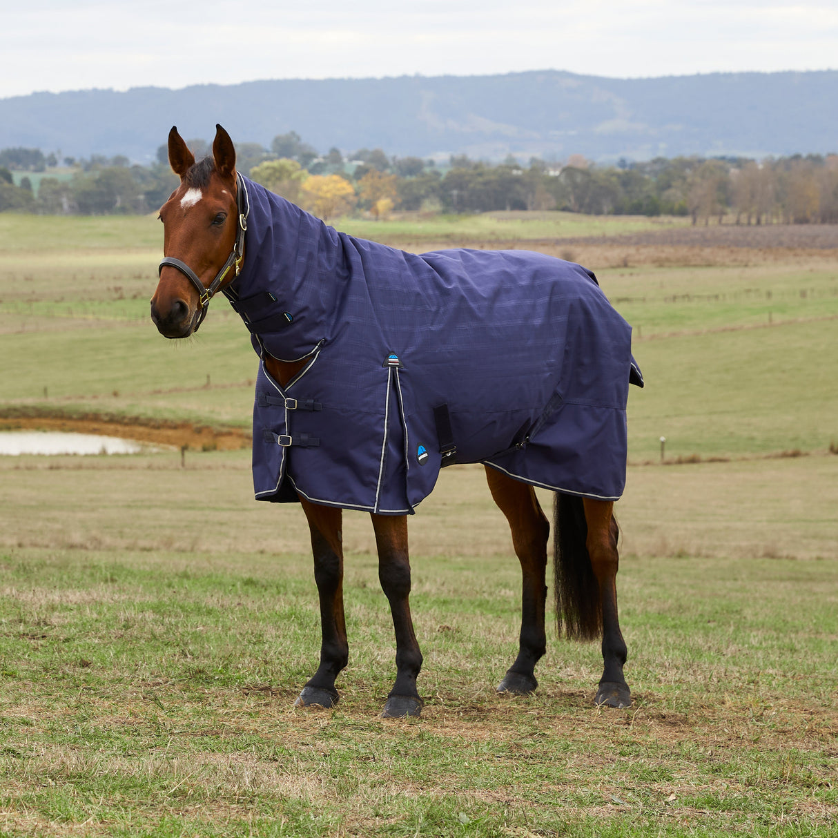 Weatherbeeta Comfitec Prelim 0G Combo Turnout #colour_navy-embossed-plaid