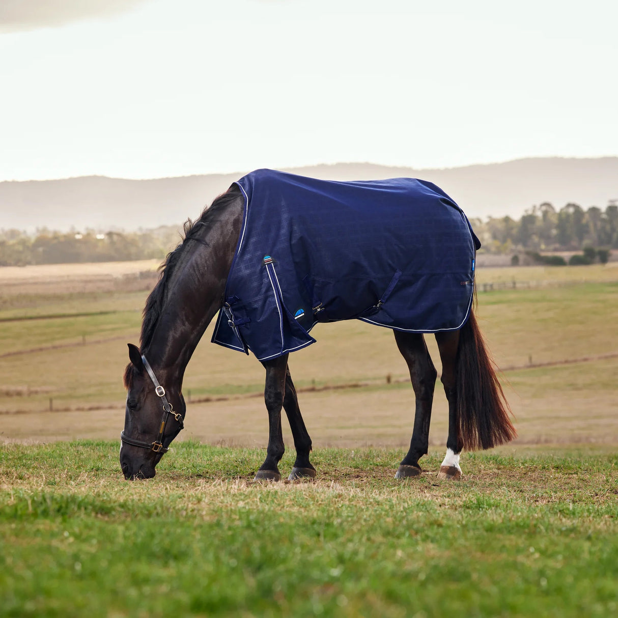 Weatherbeeta Comfitec Prelim 0G Turnout #colour_navy-embossed-plaid