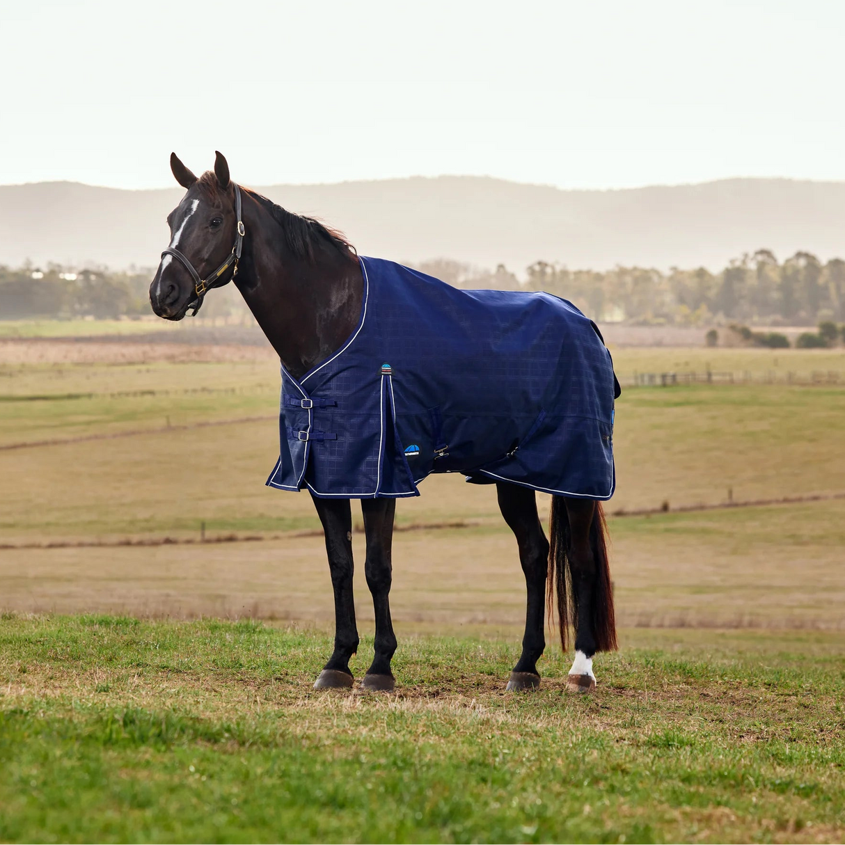 Weatherbeeta Comfitec Prelim 0G Turnout #colour_navy-embossed-plaid