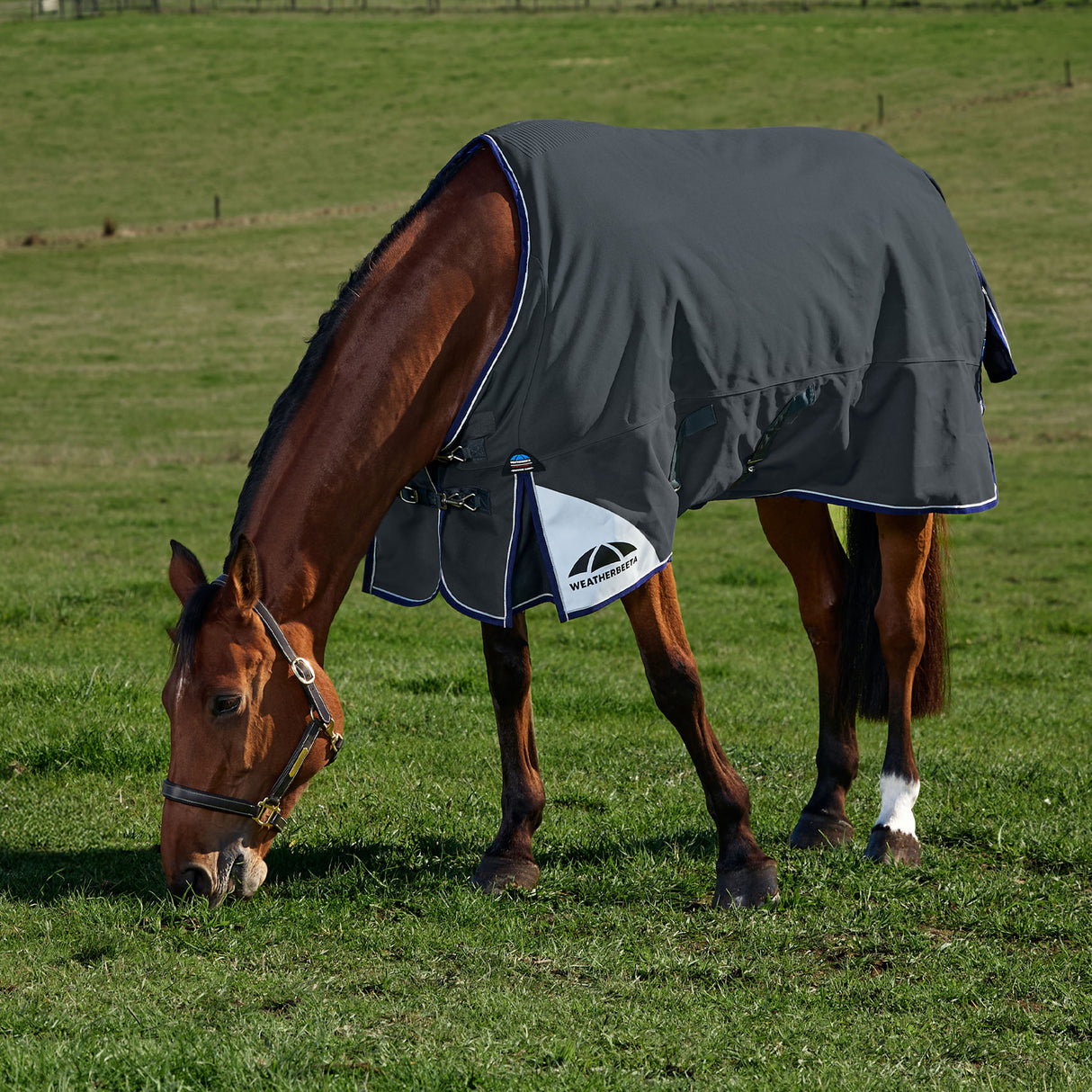 Weatherbeeta Comfitec Ultra Turnout Standard Neck 220g