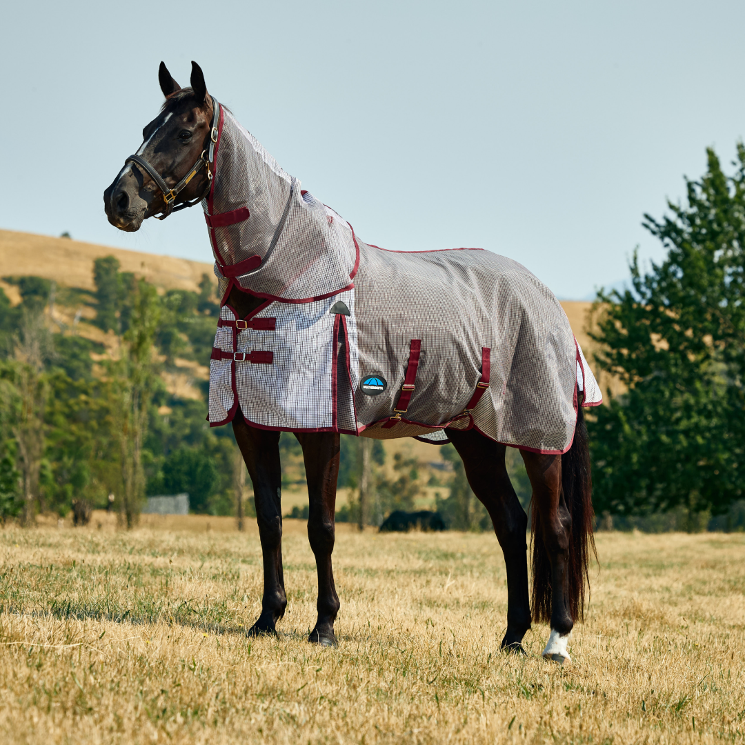 Weatherbeeta Comfitec Ripshield Fly Sheet Detach-A-Neck