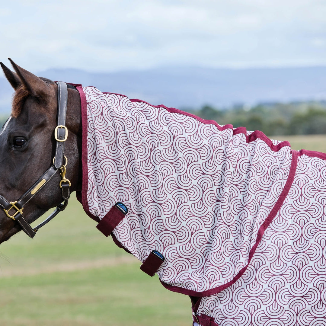 Weatherbeeta Comfitec Limited Edition Fly Sheet Combo #colour_white-burgundy-bit-print