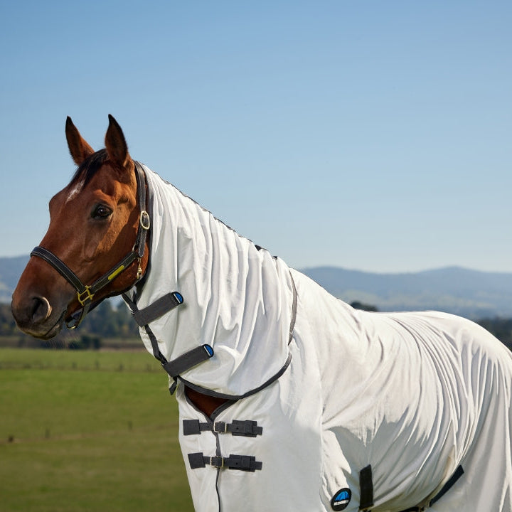 Weatherbeeta Comfitec Tyro Fly Sheet Combo