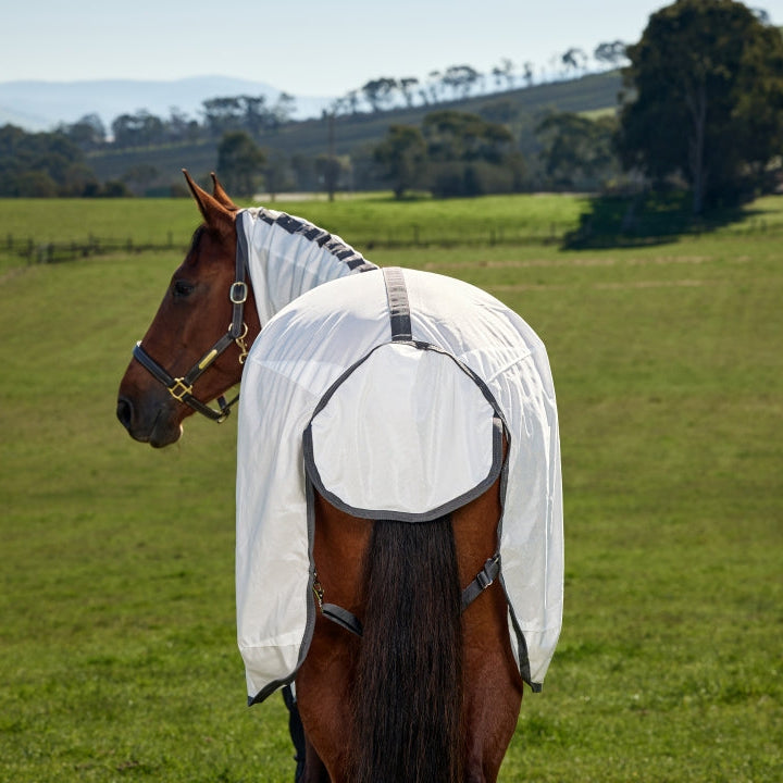 Weatherbeeta Comfitec Tyro Fly Sheet Combo