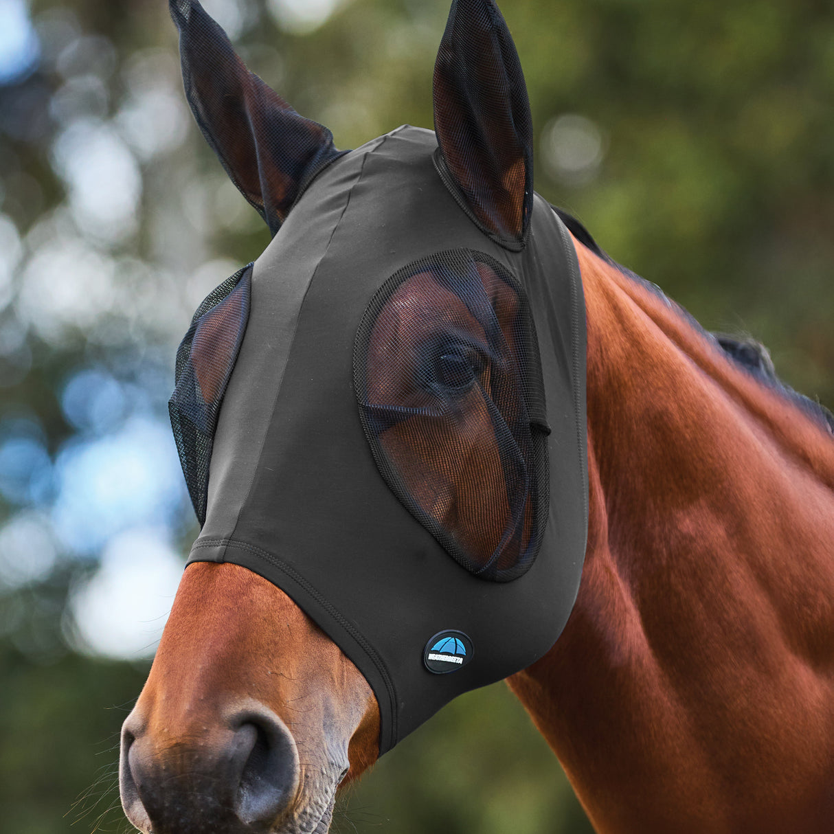 Weatherbeeta Comfitec Stretch Fly Mask With Ears #colour_charocal-black