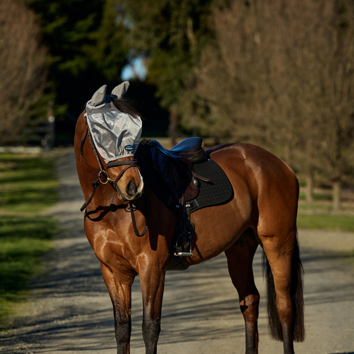 Weatherbeeta Comfitec Hexi Shield Ride On Fly Mask