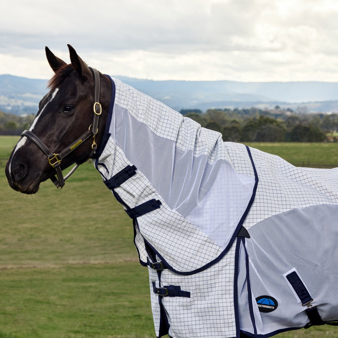 Weatherbeeta Airstream Combo
