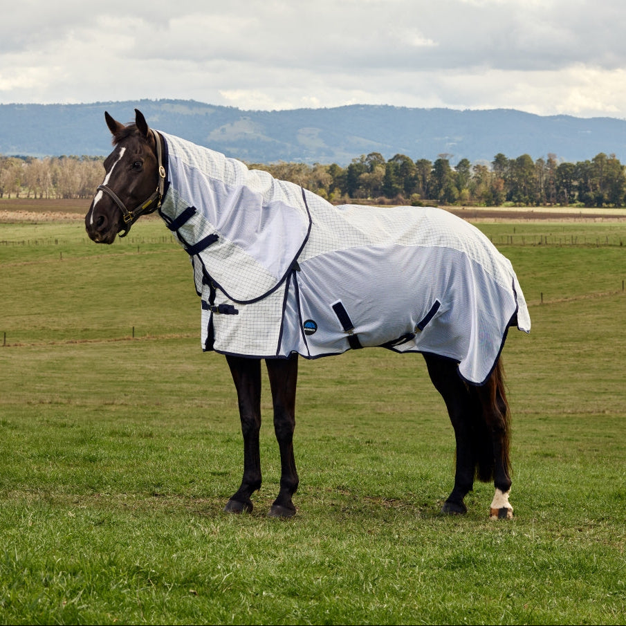 Weatherbeeta Airstream Combo