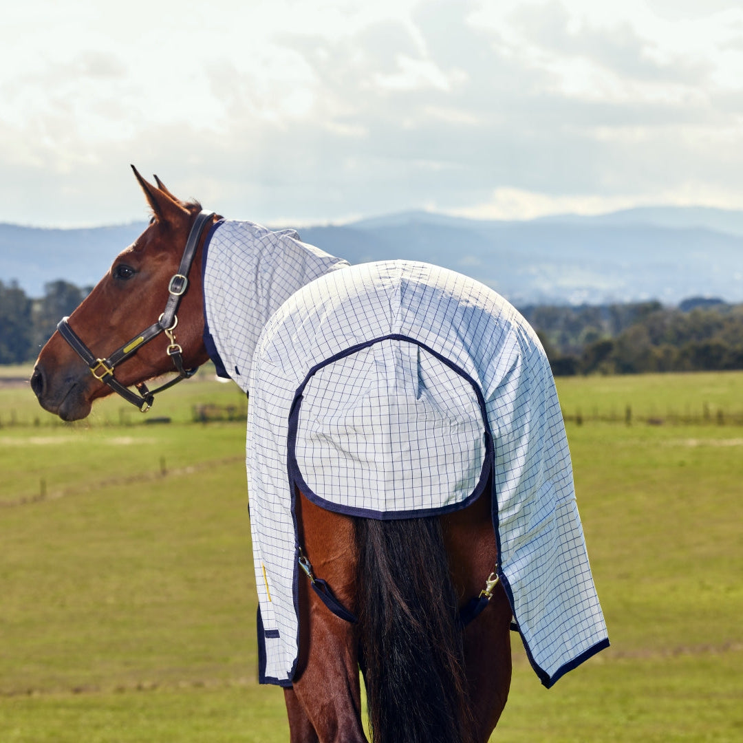 Saxon Kool Coat Classic With Surcingles Combo