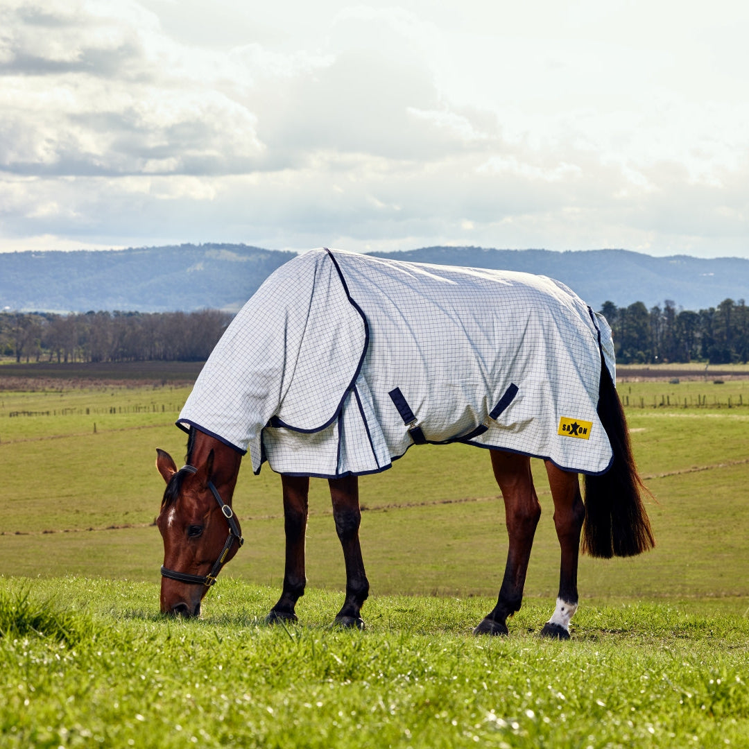 Saxon Kool Coat Classic With Surcingles Combo