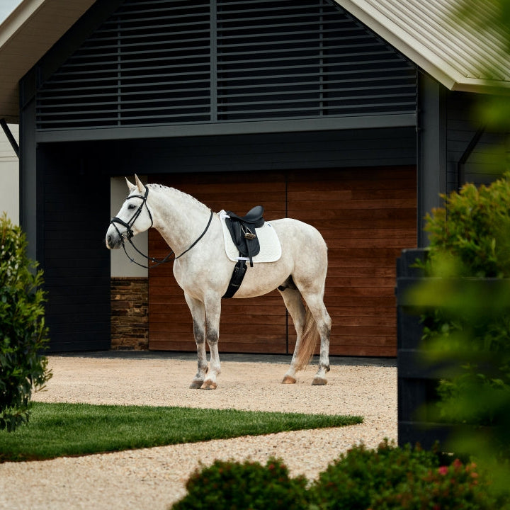 Weatherbeeta Suede Elite Air-Tec Dressage Saddle Pad #colour_white