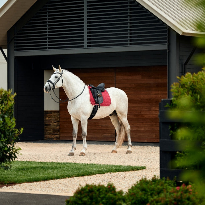 Weatherbeeta Suede Elite Air-Tec Dressage Saddle Pad #colour_winte-plum