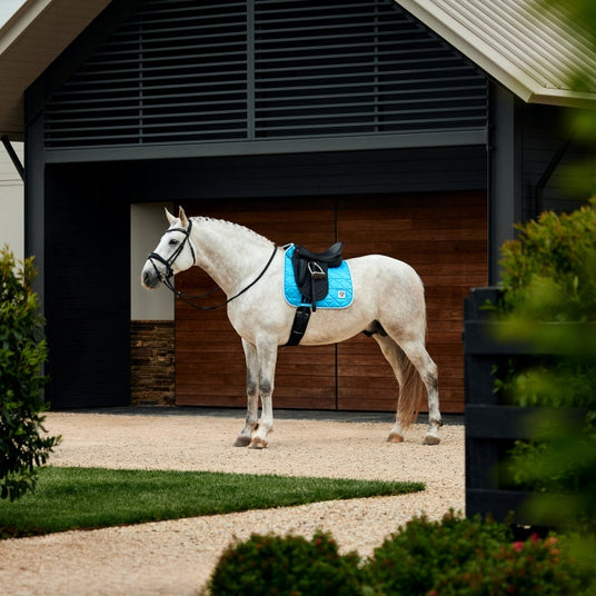 Weatherbeeta Satin Luxe Air-Tec Dressage Saddle Pad #colour_bright-blue
