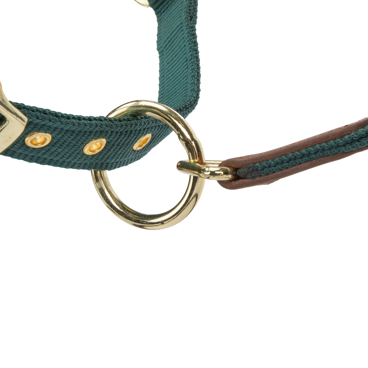 Shires ARMA Porto Headcollar