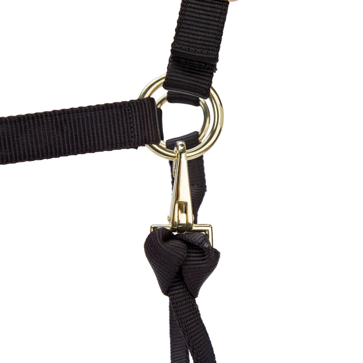 Shires ARMA Premium Adjustable Headcollar #colour_black