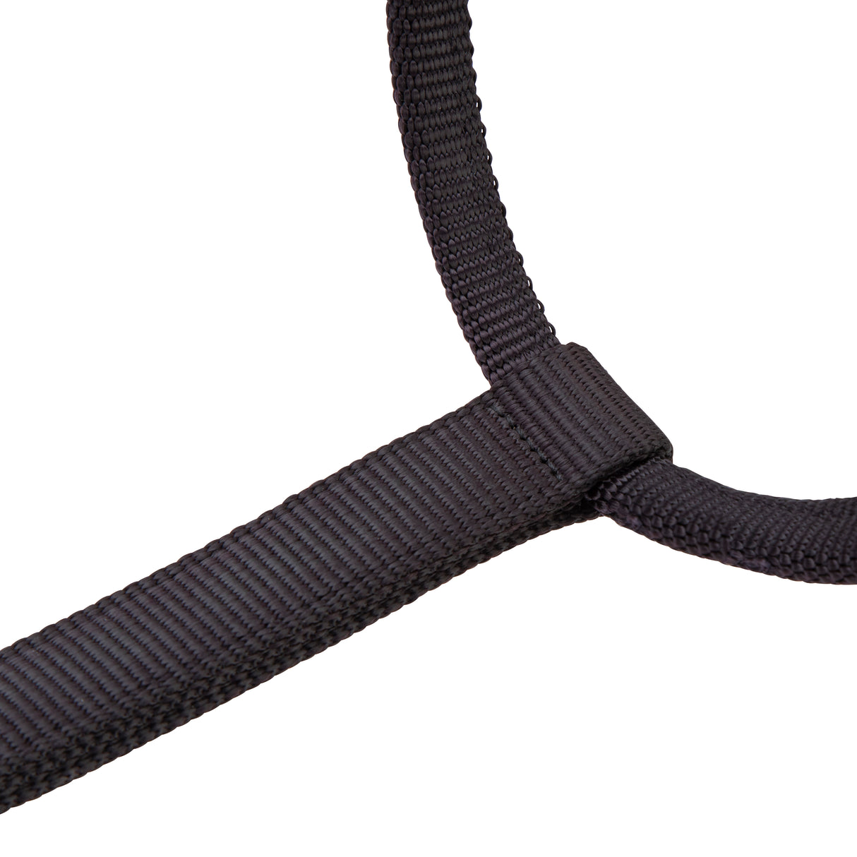 Shires ARMA Premium Adjustable Headcollar #colour_black
