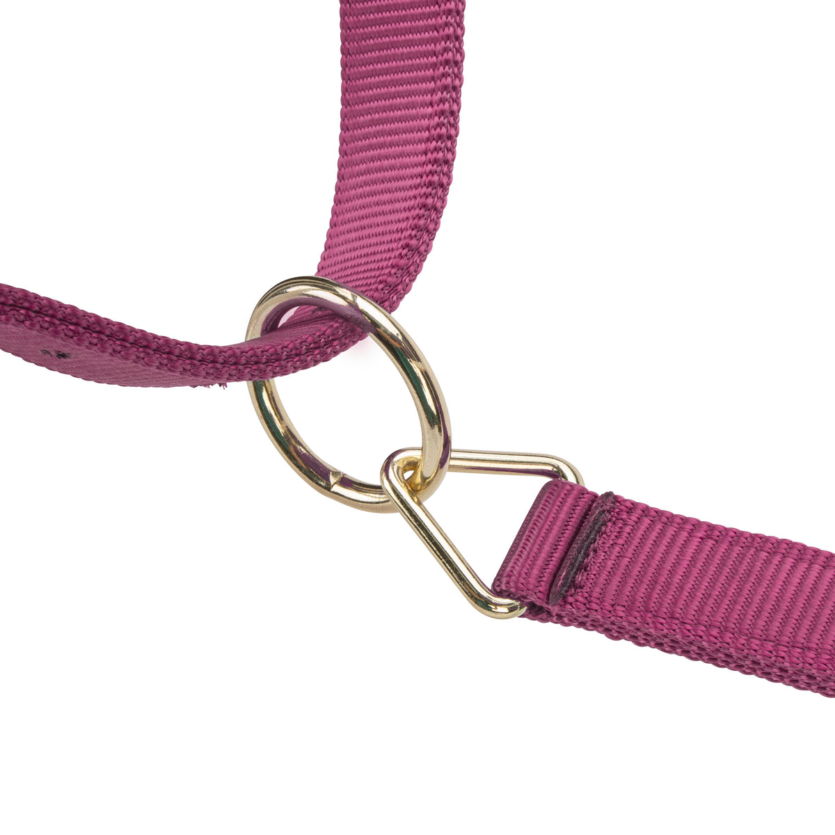 Shires ARMA Premium Adjustable Headcollar